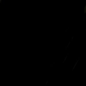 Meet your Posher, Kalyn